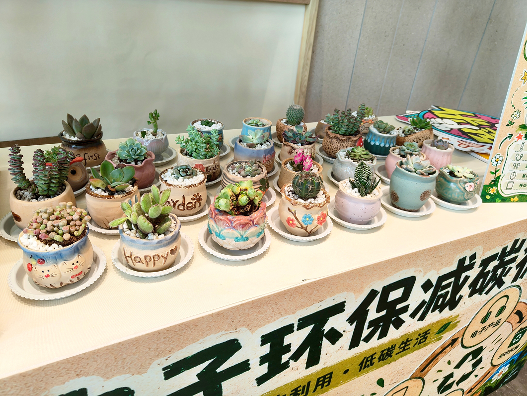 6a341509-78e3-41d2-b2b6-c68e627af3fb 1.jpg