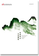 Hi-P Annual Report 2005